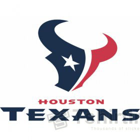 Houston Texans T-shirts Iron On Transfers N535